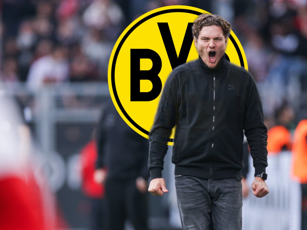 Borussia Dortmund Terzic