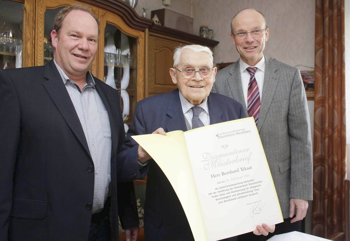 Diamantener Meisterbrief.jpg
