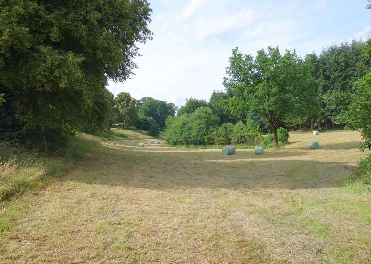 Eichen Gut Mülheim_3.jpg