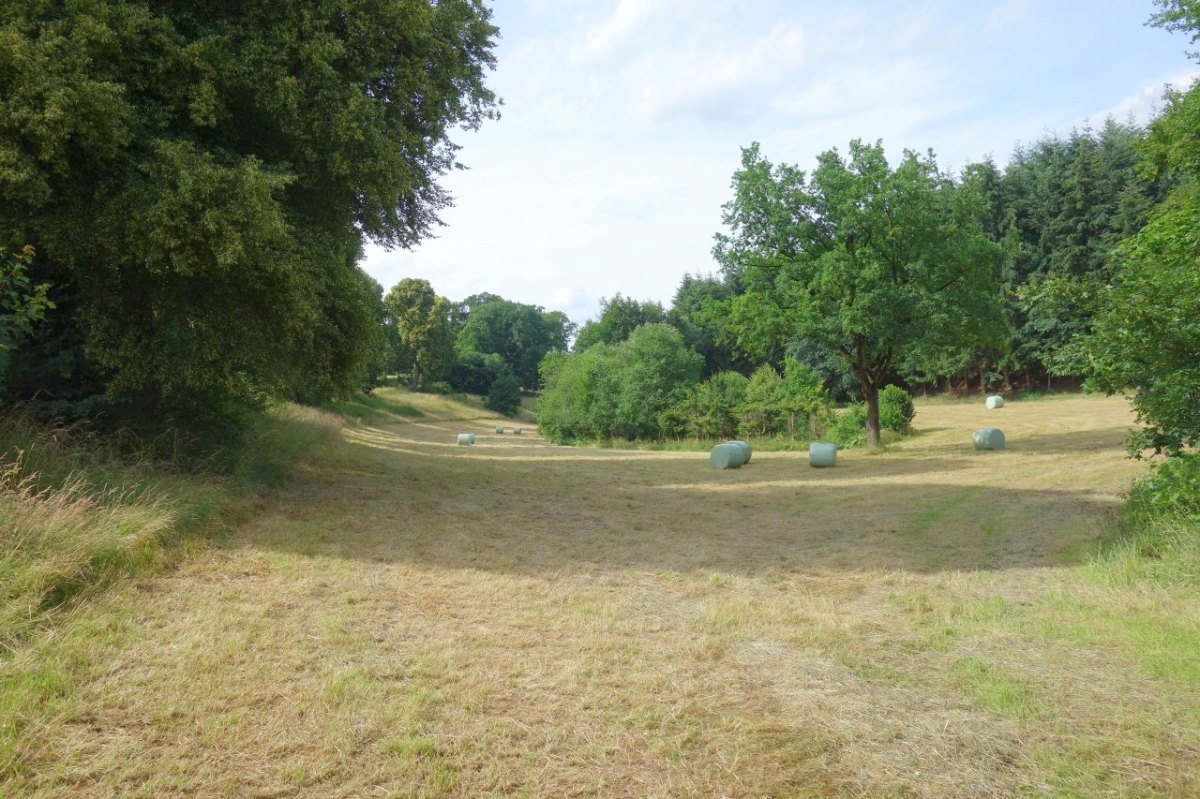 Eichen Gut Mülheim_3.jpg