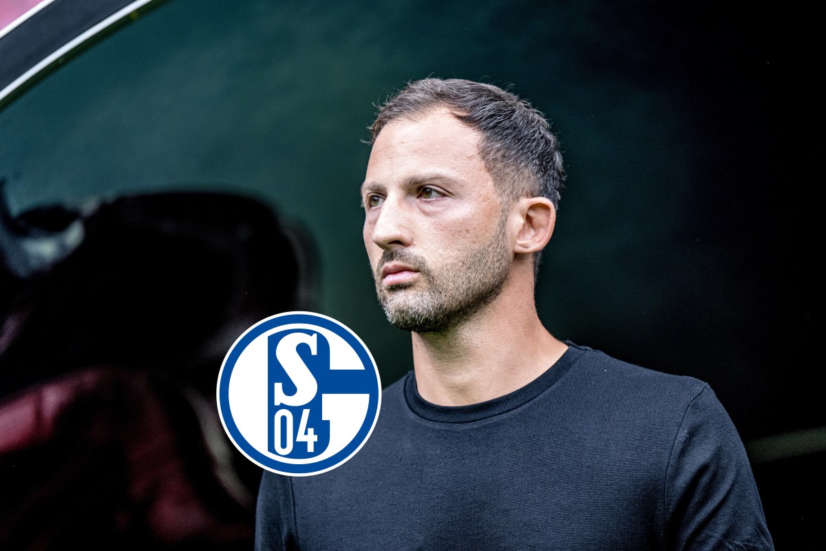 FC Schalke 04 Tedesco