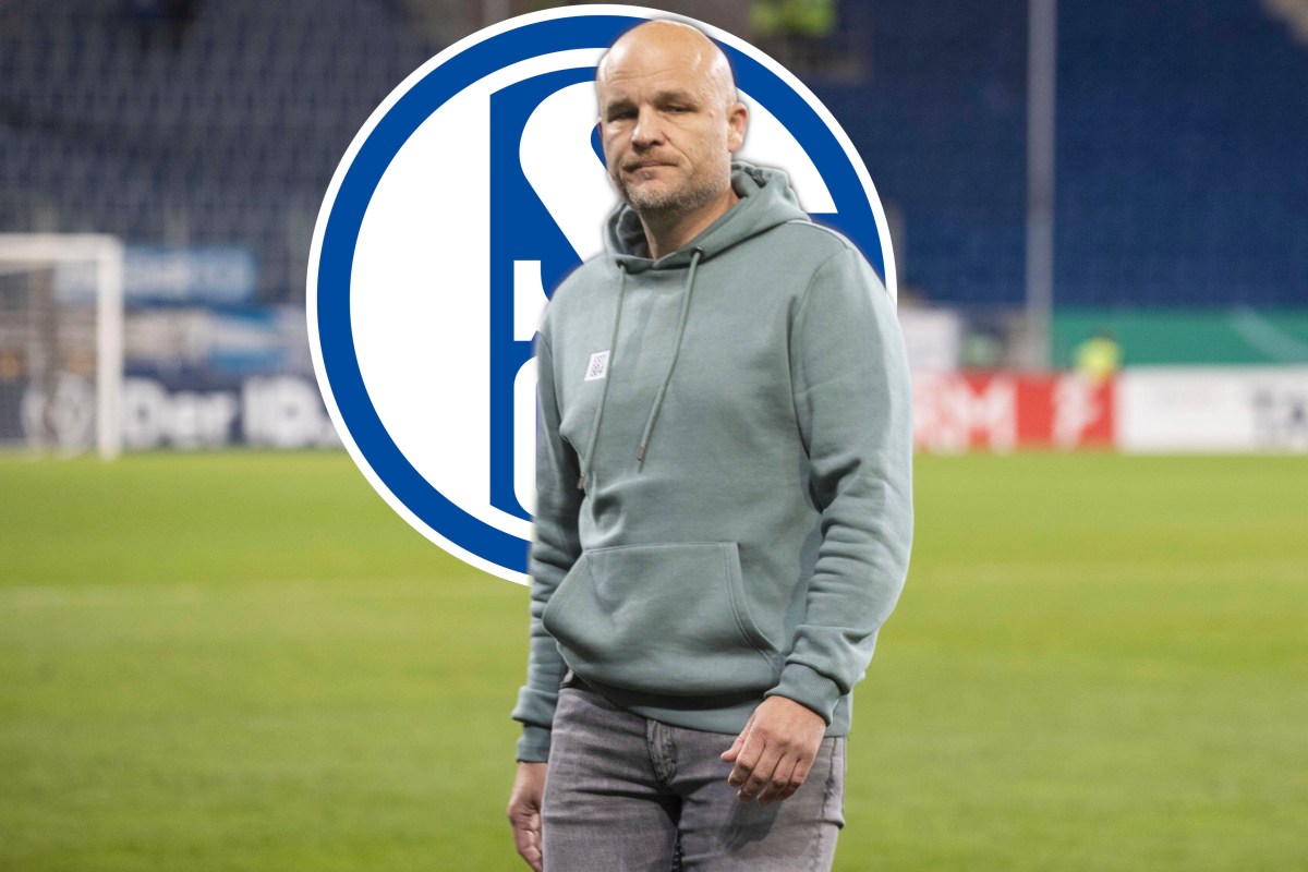 FC Schalke 04 Trainer