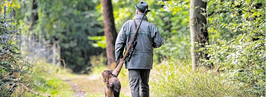 Jagd in Sachsen--656x240.jpg