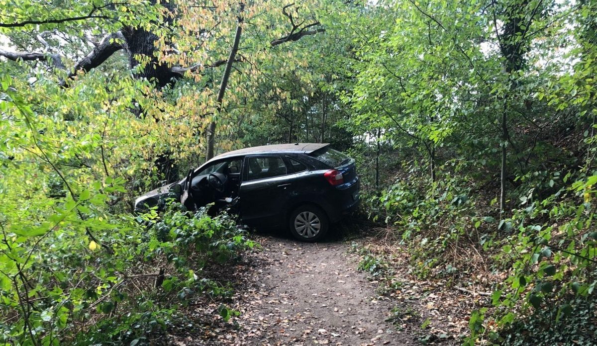 Bochum Auto steht im Wald