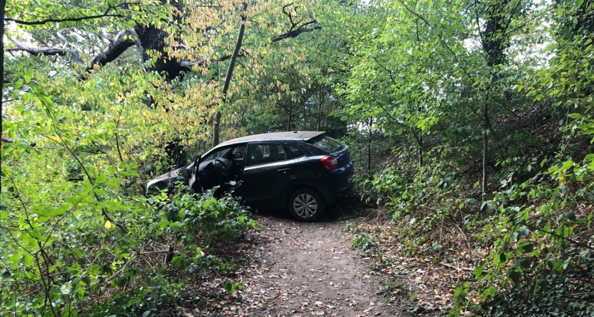 Bochum Auto steht im Wald