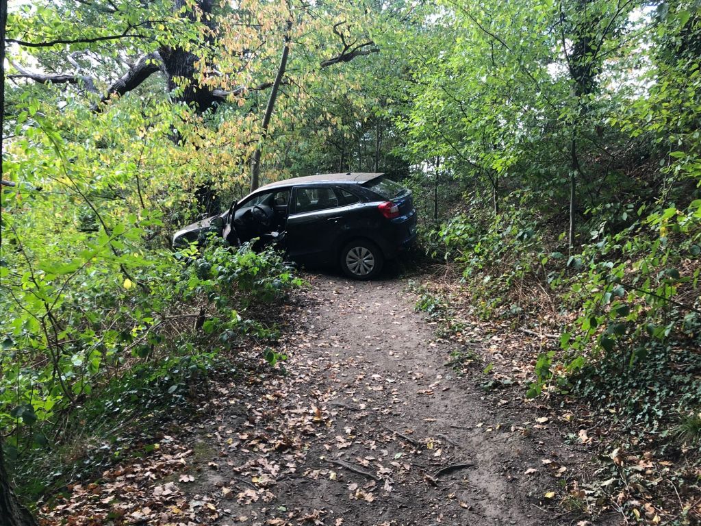 Bochum Auto steht im Wald