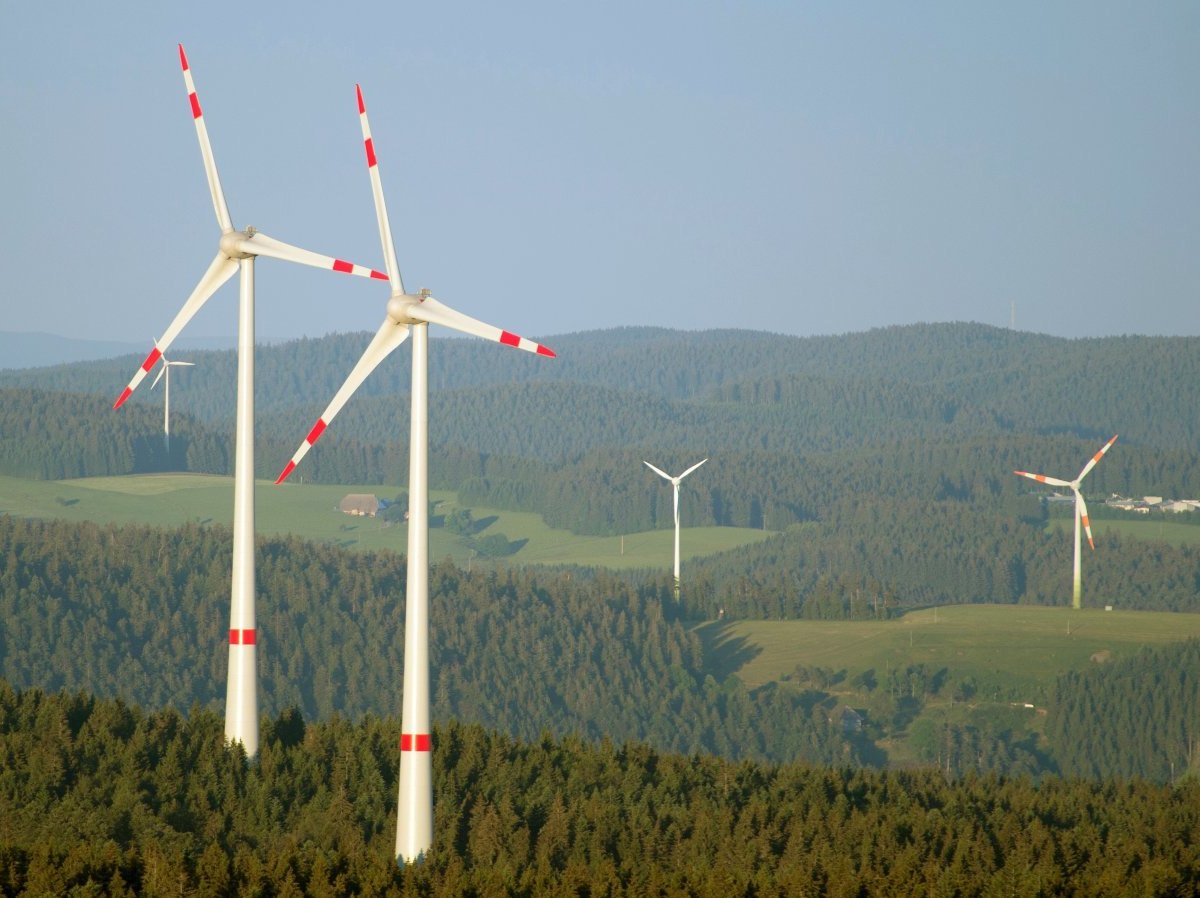Windräder am Kandel.jpg