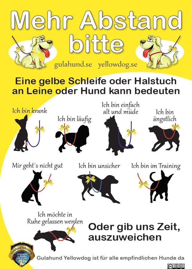 gulahund - hund mit gelber schleife
