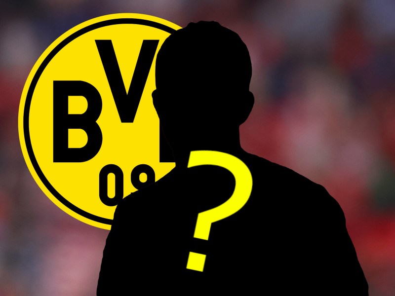 Borussia Dortmund Pulisic