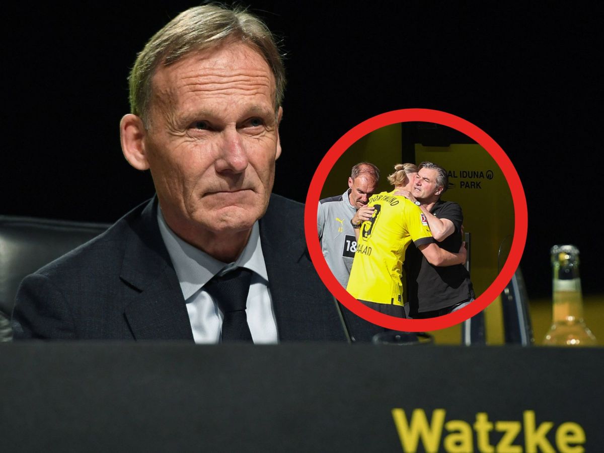 bvb