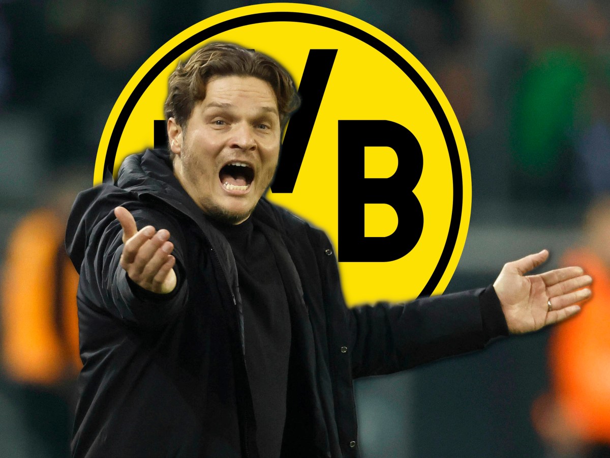 Borussia Dortmund Edin Terzic