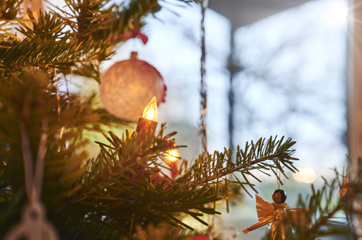 Weihnachten in NRW: Weihnachtsbaum