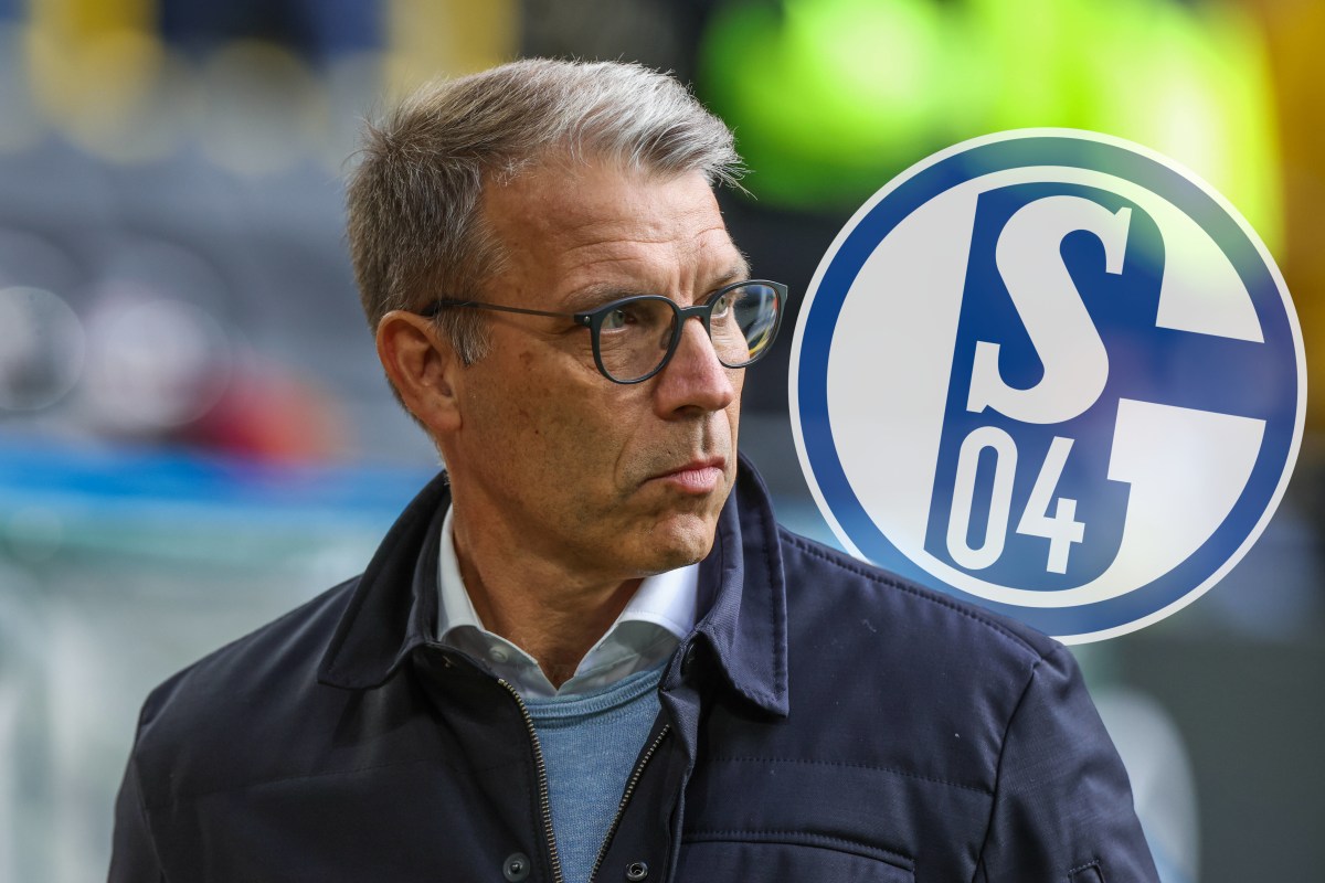 Peter Knäbel schaut auf das Wappen des FC Schalke 04.