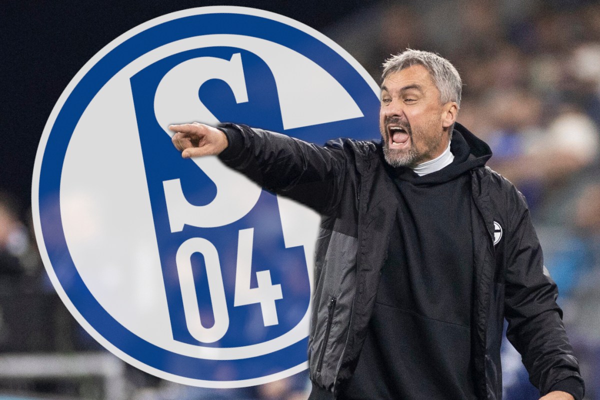 Schalke-Trainer Thomas Reis schreit und gestikuliert.