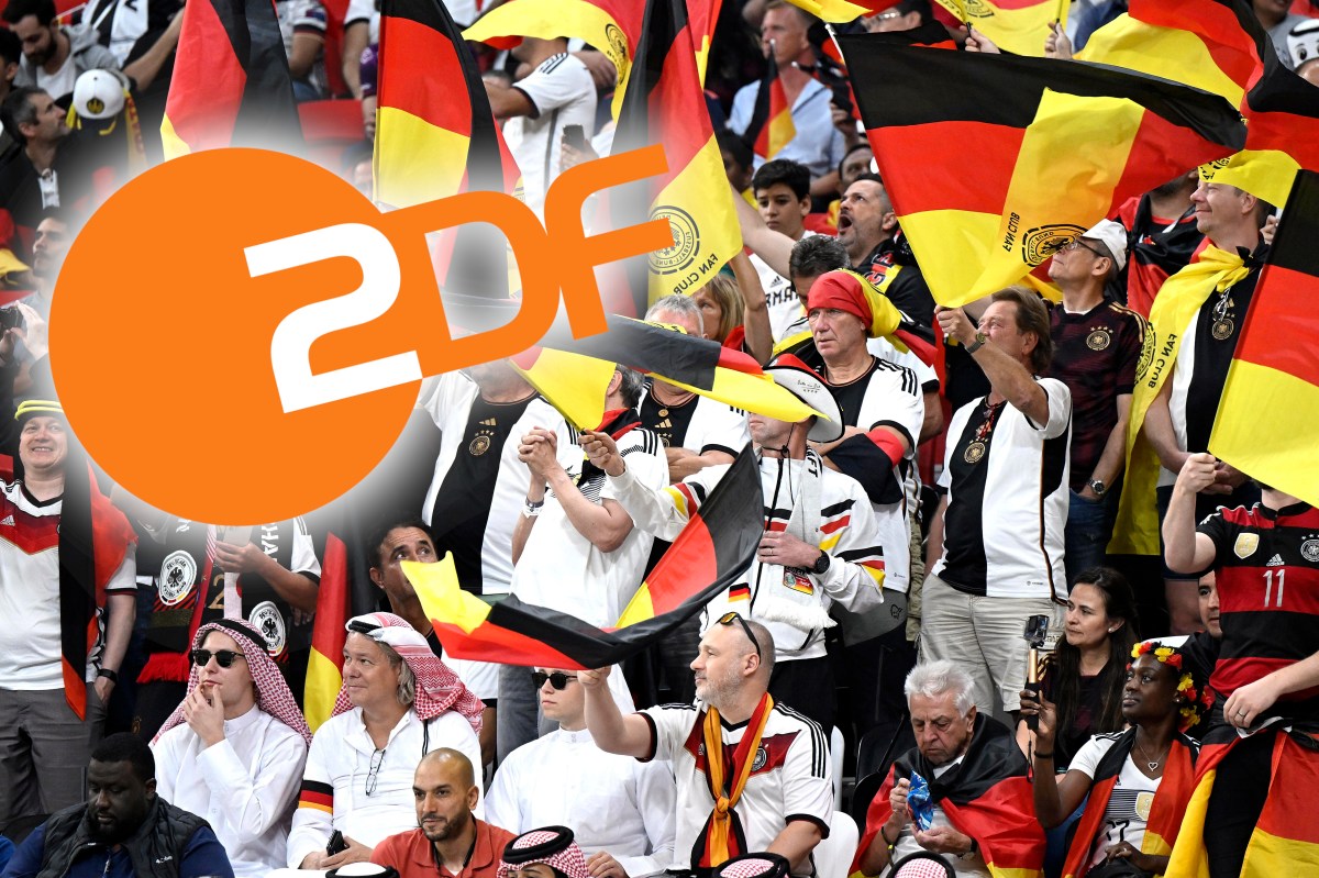 Fans jubeln bei Deutschland - Spanien.