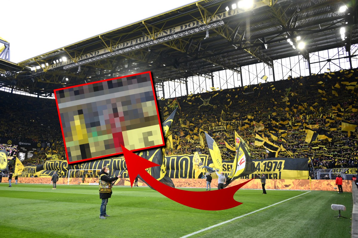 Borussia Dortmund Subotic
