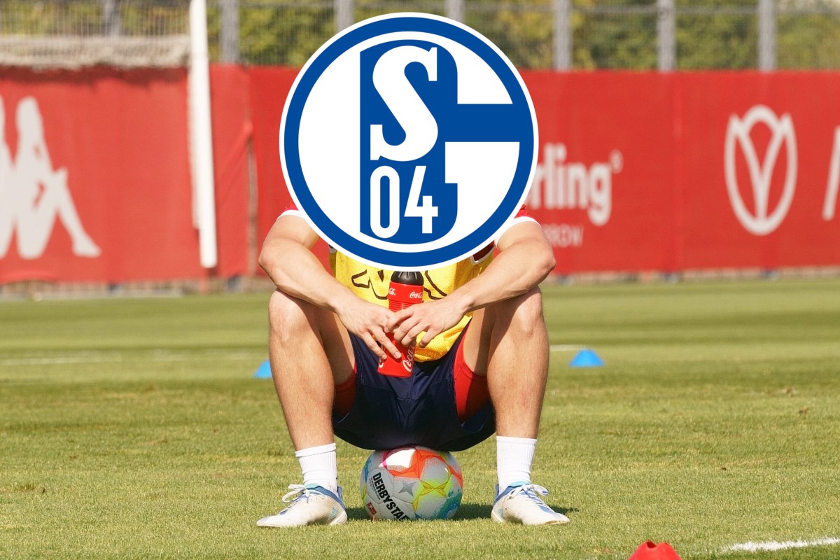 FC Schalke 04 schlägt auf dem Transfermarkt zu.