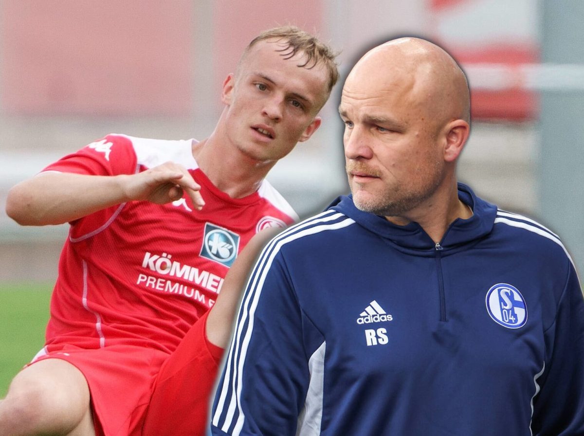 Der FC Schalke 04 hat Niklas Tauer verpflichtet.
