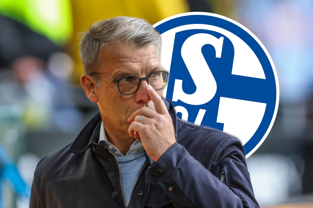 FC Schalke 04: Peter Knäbel machte ein Versprechen.