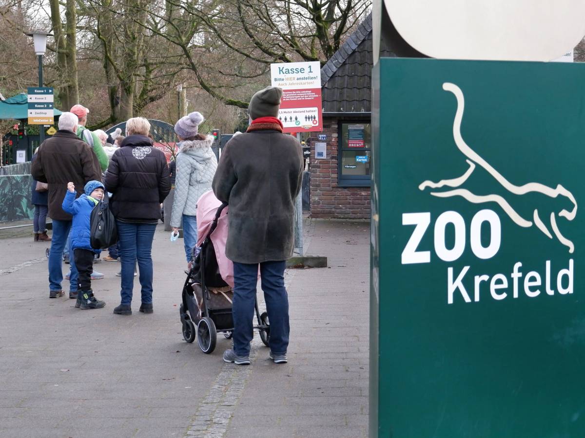 Zoo in NRW greift zu ungewöhnlicher Maßnahme!