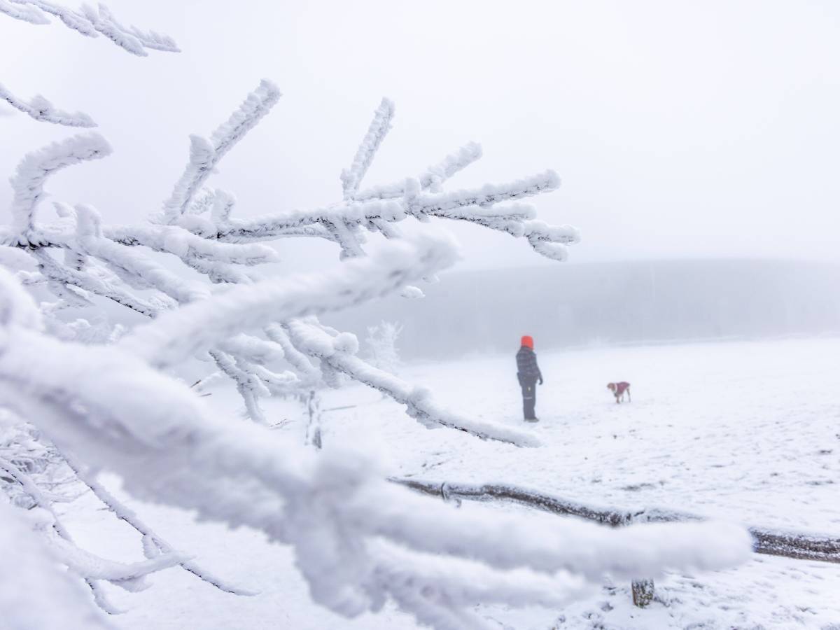 Wetter in NRW: eine Schneelandschaft