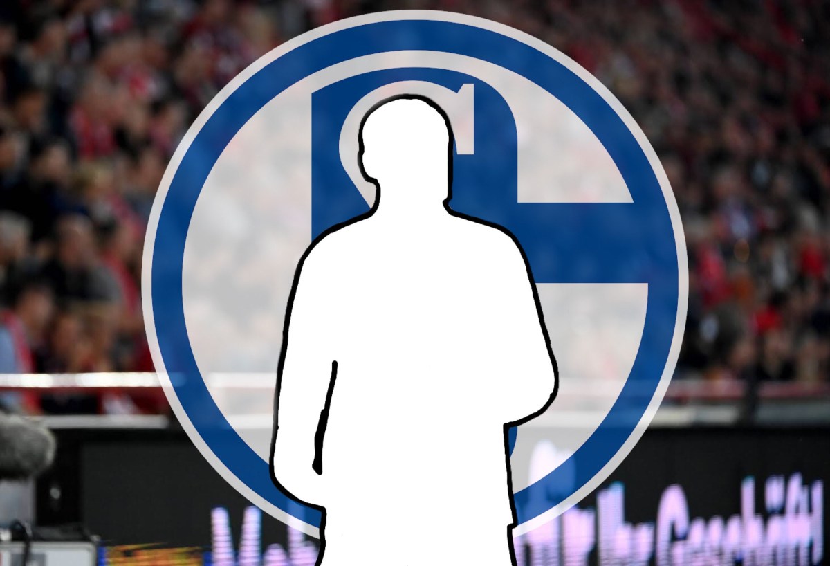 Wechselt Timo Baumgartl zum FC Schalke?