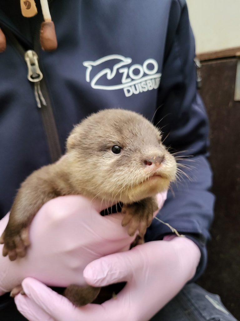 Zoo Duisburg