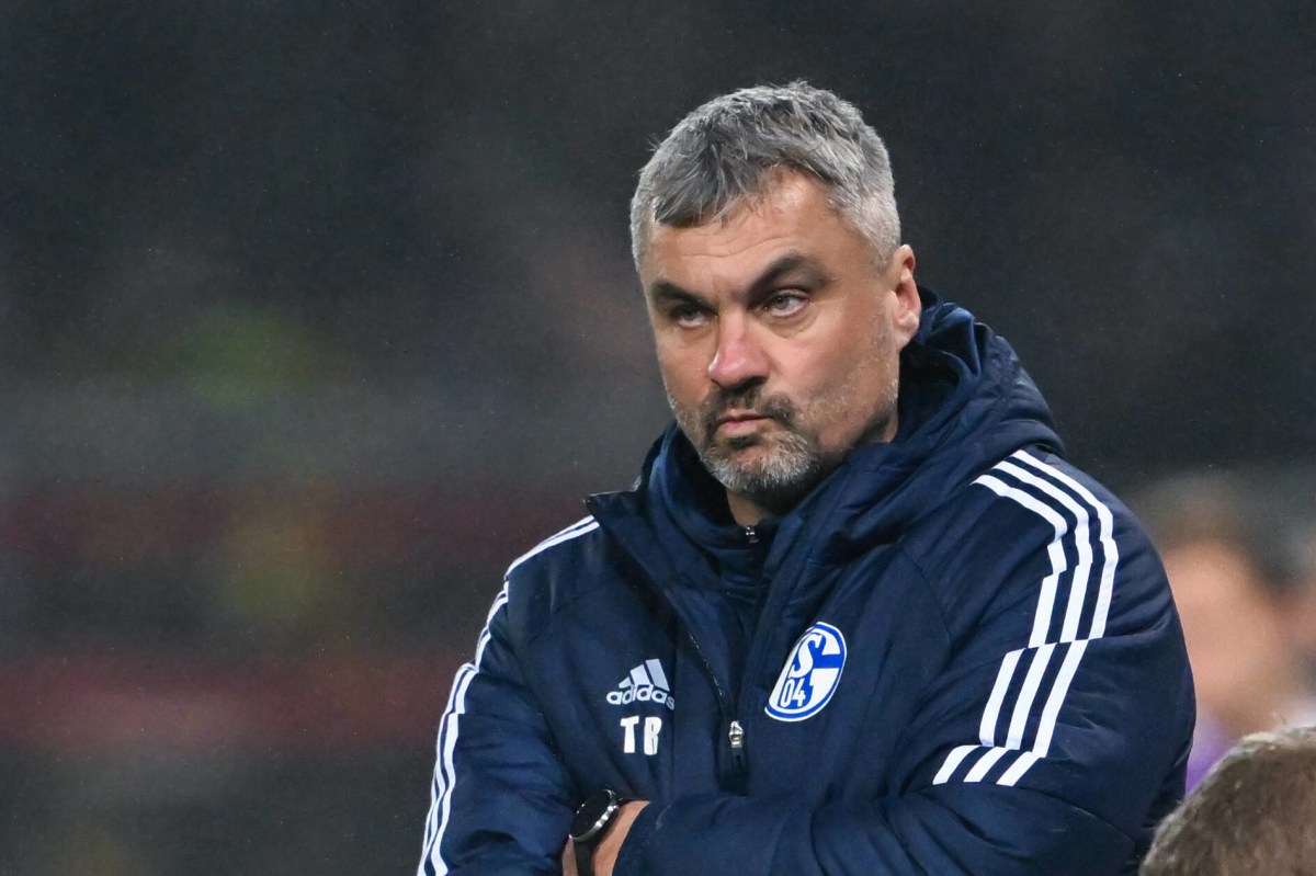 Schalke-Trainer Thomas Reis schaut missmutig.