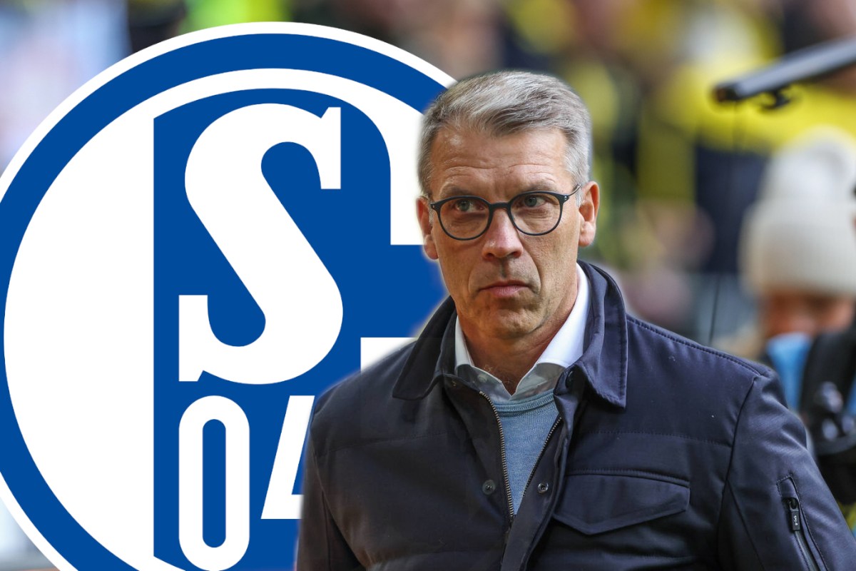 Peter Knäbel schaut auf das Wappen des FC Schalke 04.