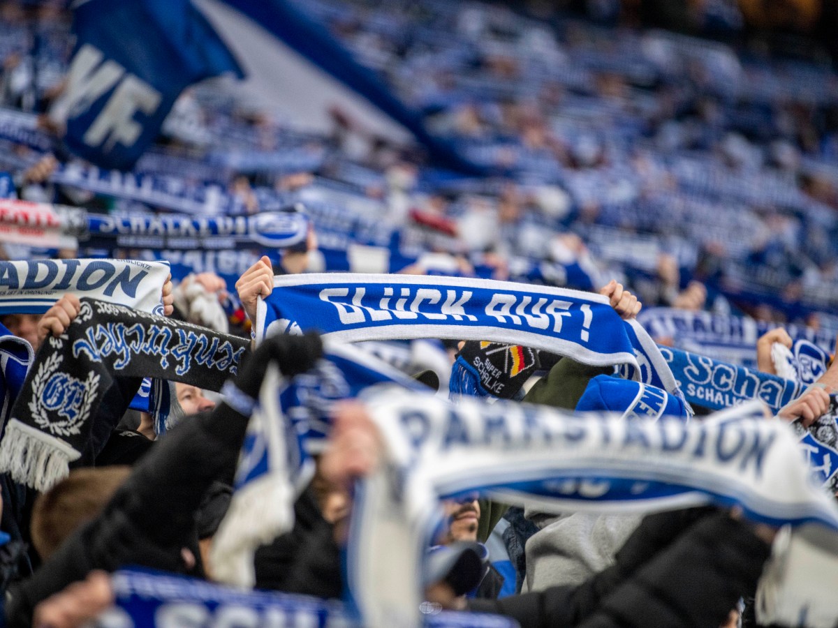 FC Schalke 04 Fans von BVB Hooligans attackiert