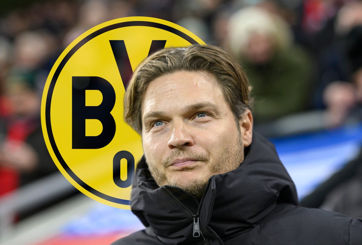 Borussia Dortmund steht vor einem Rätsel.