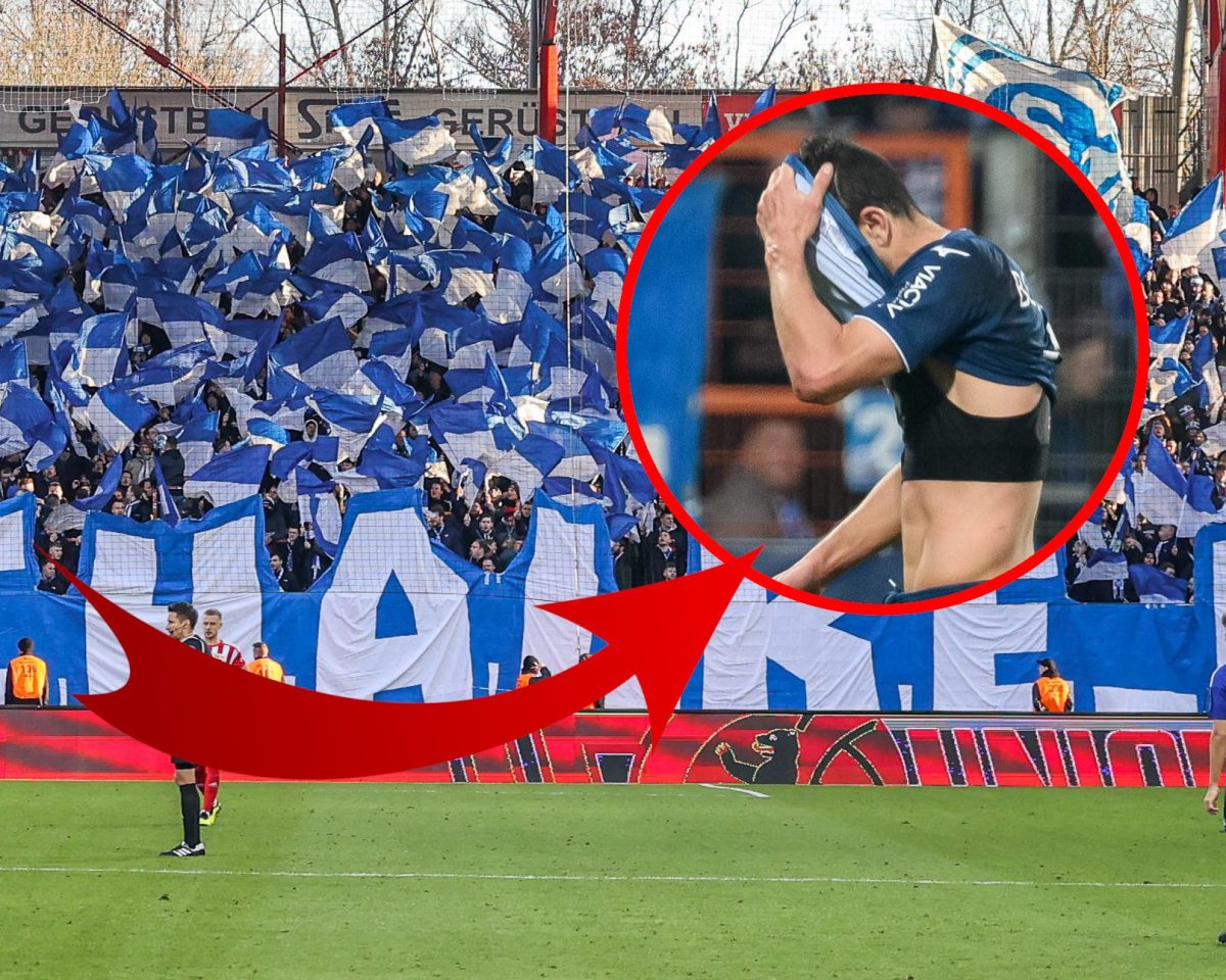 Über diese Nachricht darf sich der FC Schalke 04 freuen.