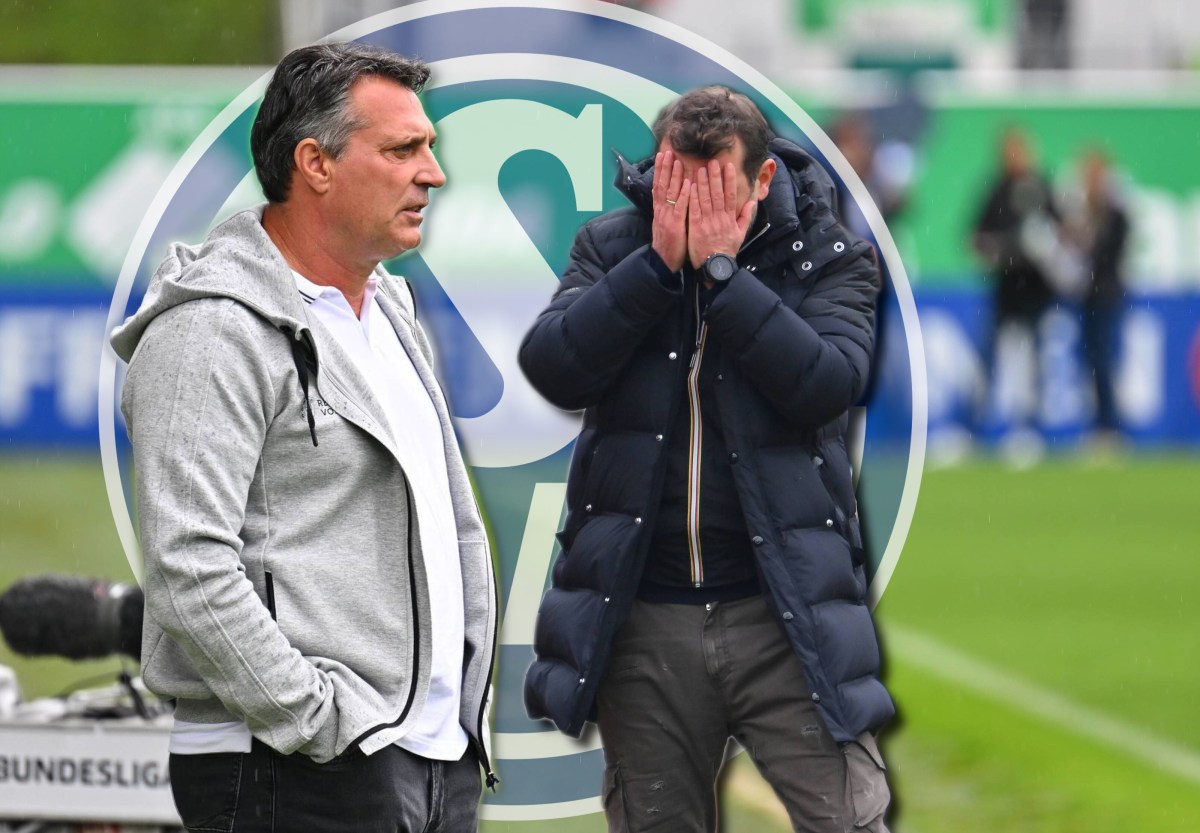 FC Schalke 04: Weder Sandhausen noch Nürnberg stellten einen Ex-S04-Coach ein.