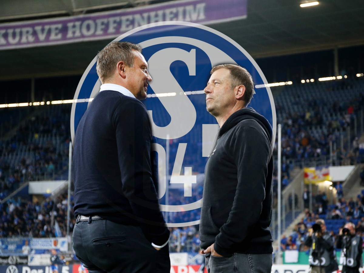FC Schalke 04: Ironie des Schicksals – DIESES Szenario war vor einigen Monaten nicht abzusehen