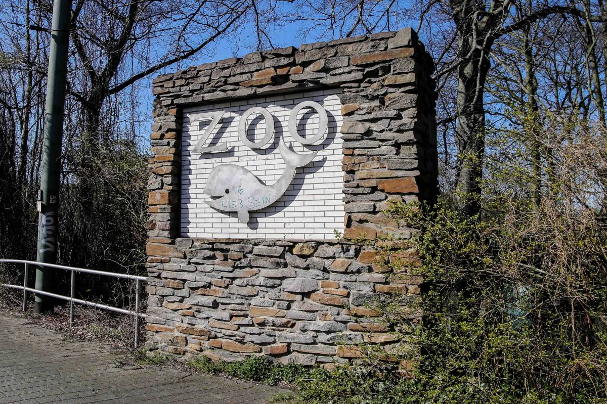 Zoo Duisburg: Geheimnis über Nachwuchs gelüftet.