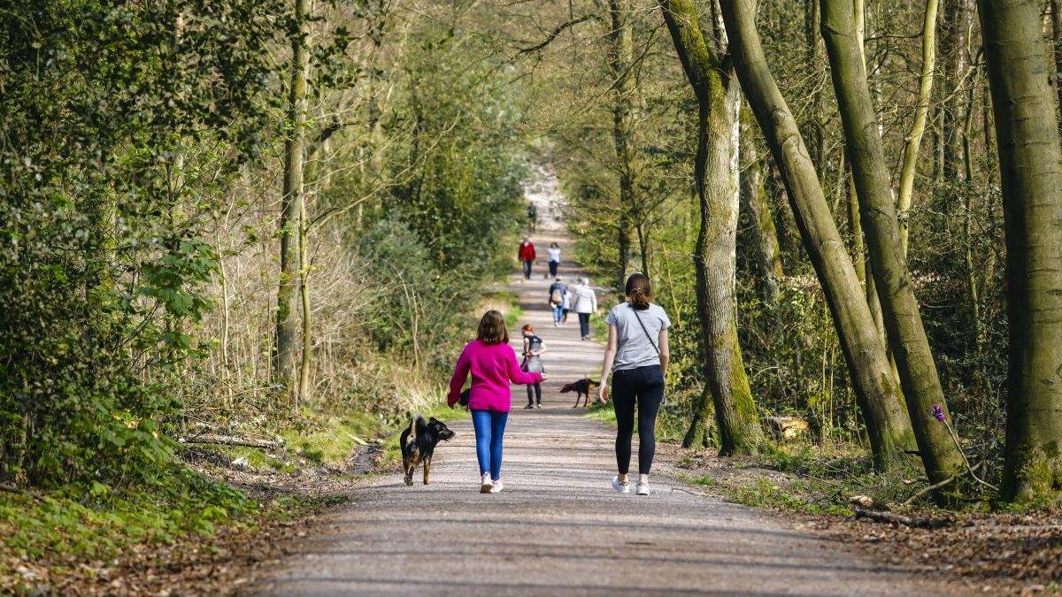 Frau mit Hund im Wald in Duisburg