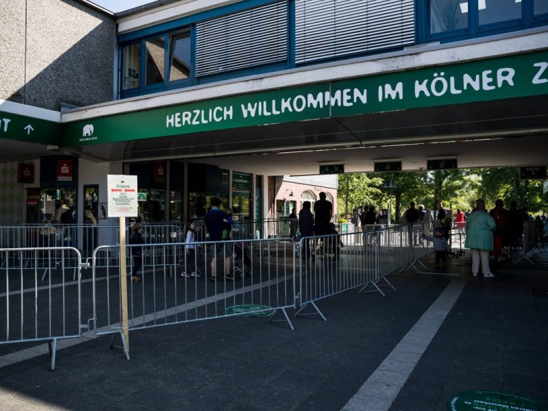 Zoo Köln nimmt Abschied – Besucher vermissen Tier schon jetzt