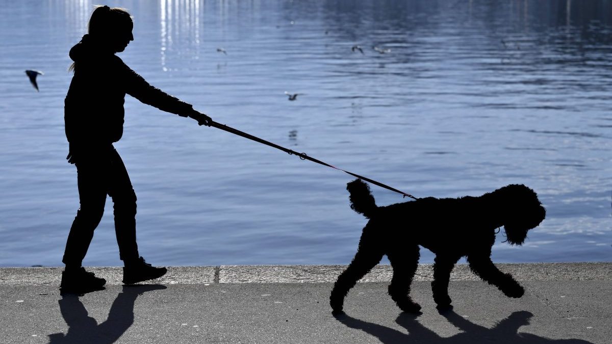 Frau läuft mit Hund an der Leine