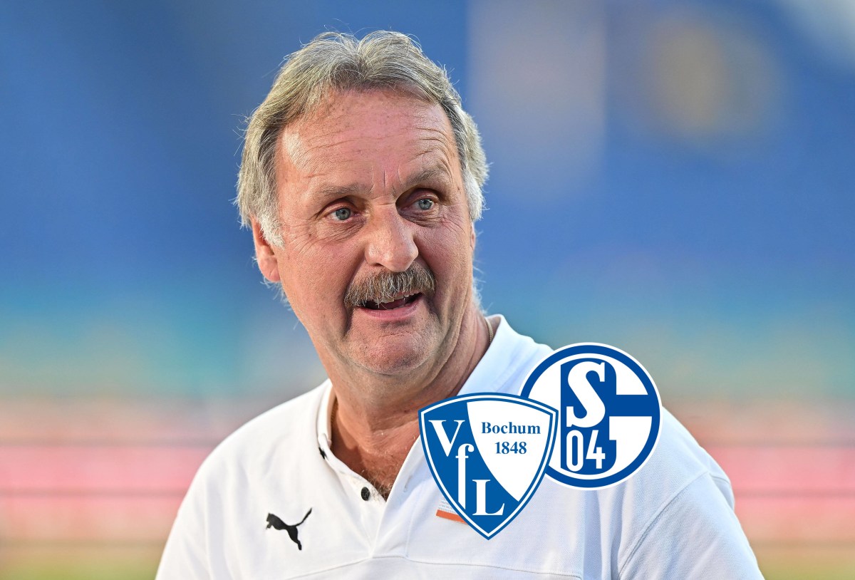VfL Bochum FC Schalke 04