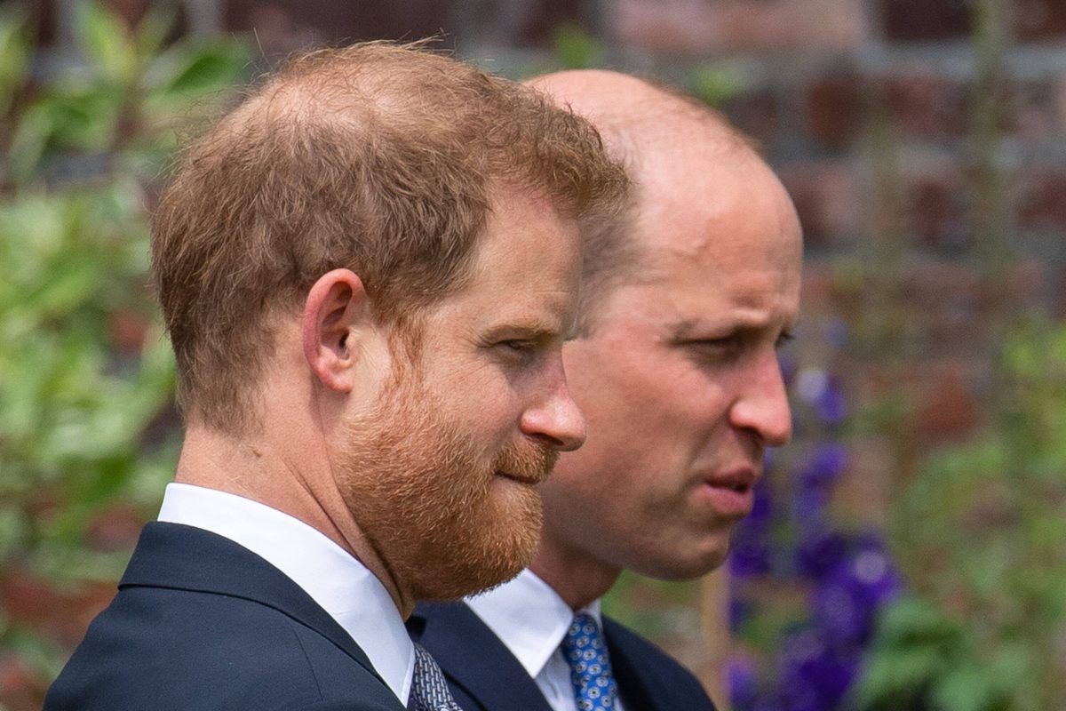 Prinz Harry und Prinz William