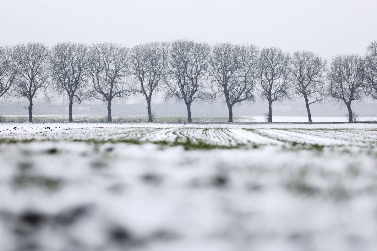 Wetter in NRW