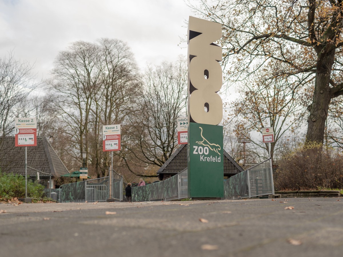 Zoo Krefeld verkündet bittere Todes-Nachricht – „Wir sind sehr traurig“