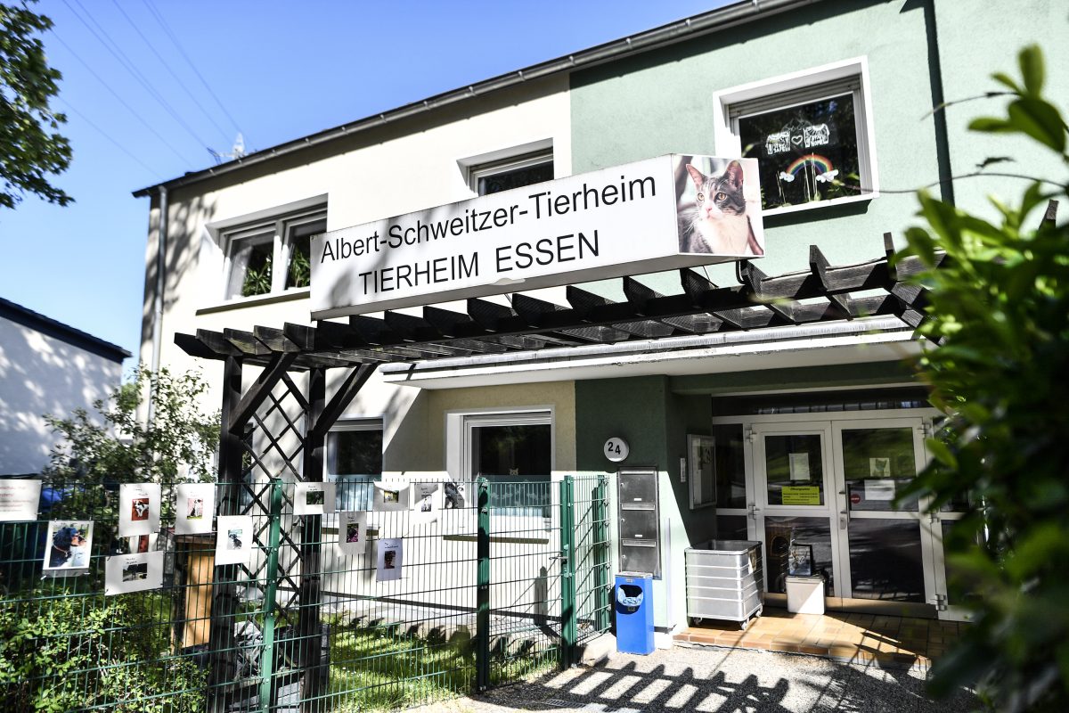 Tierheim Essen