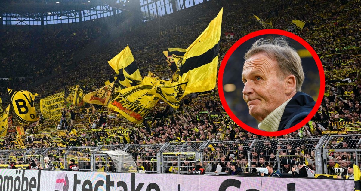 Eine Nachricht aus dem Nichts! Geschäftsführer Hans-Joachim Watzke verlässt Borussia Dortmund. Die Meinung der BVB-Fans ist eindeutig.