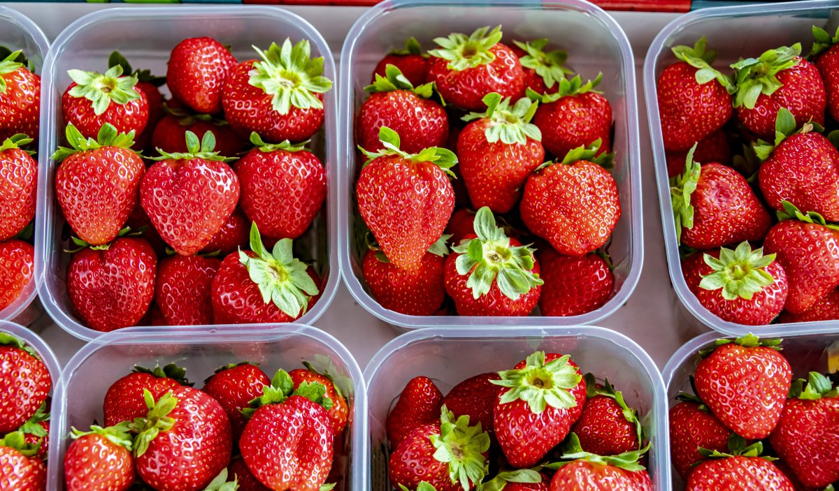 Aldi, Norma und Co.: Öko-Test lässt reihenweise Erdbeeren durchfallen.