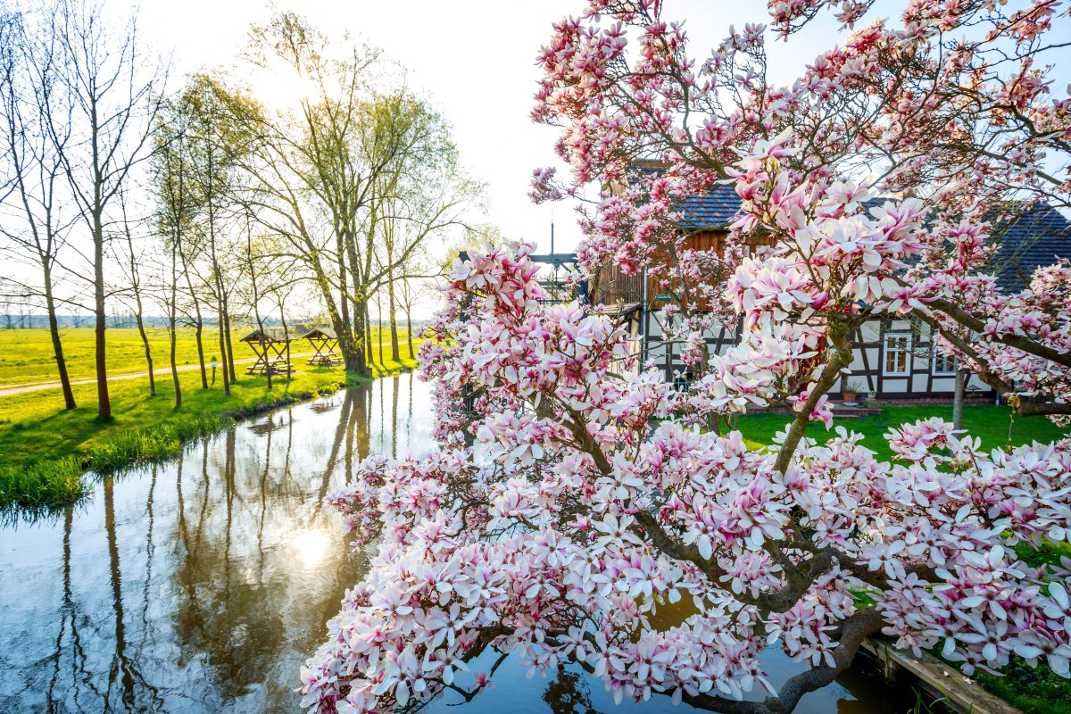 Das Wetter kann Anfang nächster Woche nochmal ganz anders aussehen. Ein Wetter-Experte nennt ein konkretes Datum, wann der große Umschwung kommen soll.