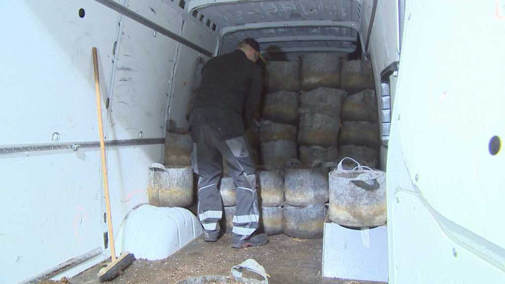 Lkw mit Cannabis-Pflanzen beladen