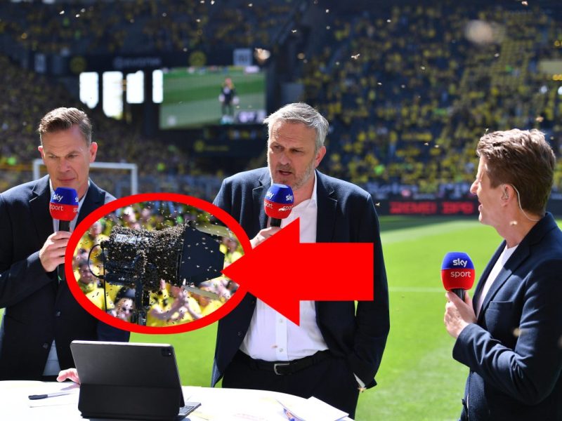 Borussia Dortmund – Mainz 05: Tierische Störung bei Sky-Übertragung – Feuerwehr muss anrücken