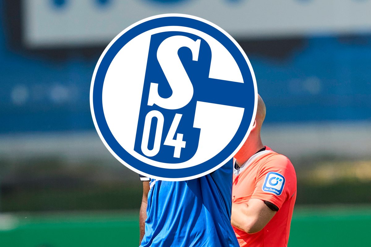 Schalke 04 Bild: A Comprehensive Guide for Fans and Enthusiasts