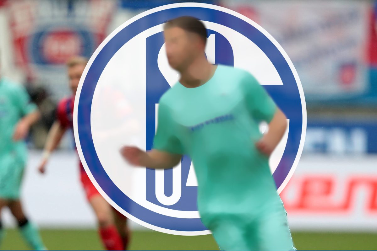 Der FC Schalke 04 darf sich über diese Sommer-Verstärkung freuen.